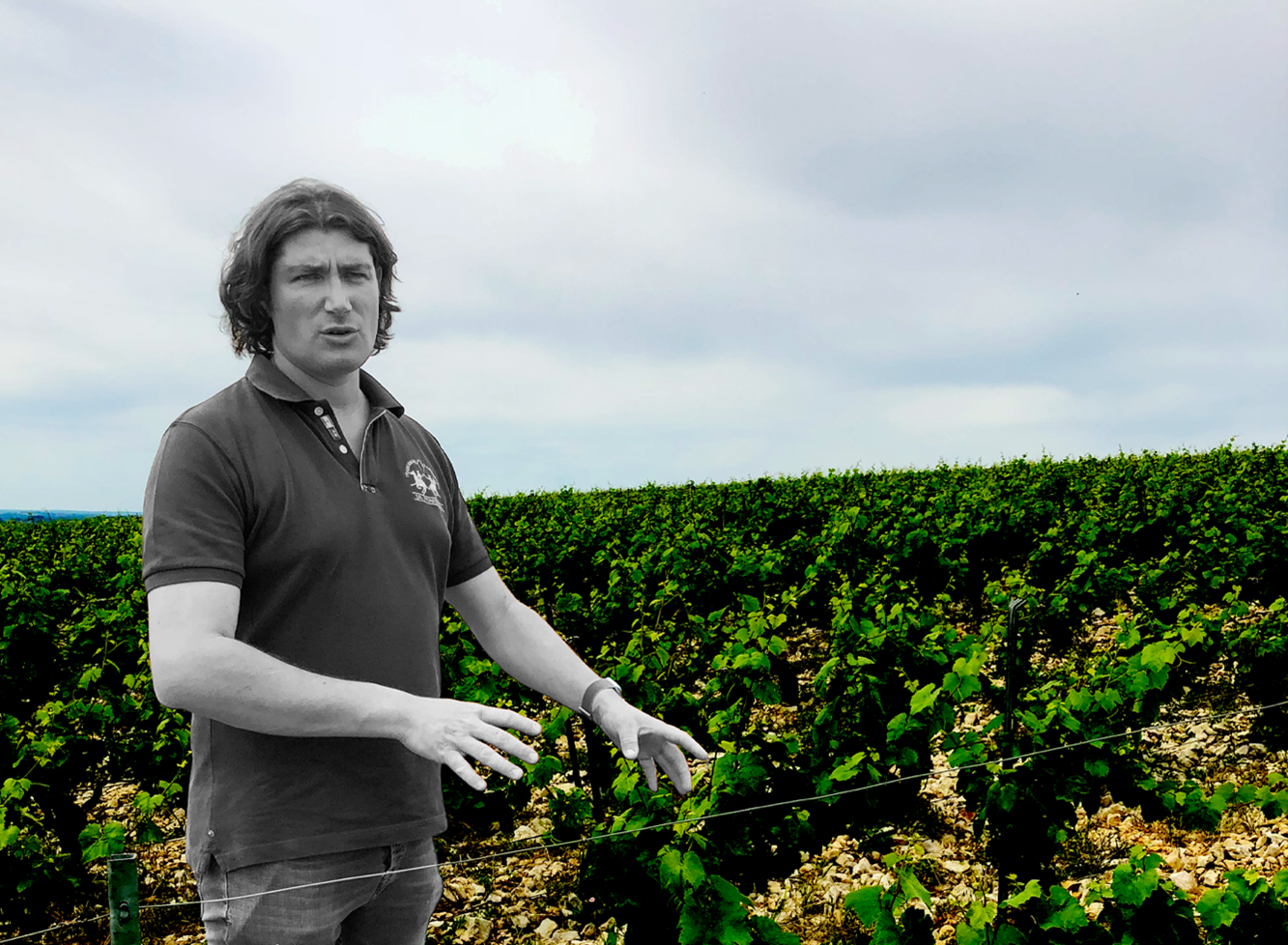 Guilhem & Jean-Hugues Goisot: An Affordable Feast of Biodynamic Burgun ...