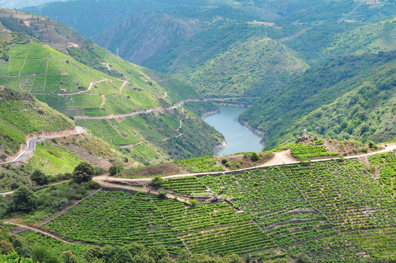 Adega Algueira - “Aromatic Loveliness”: Pristine Galicia from the Inland ‘fjords’ of Northern Spain