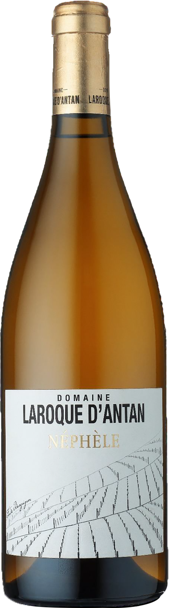 Domaine Laroque D'Antan IGP Côtes du Lot Néphèle Blanc 2021